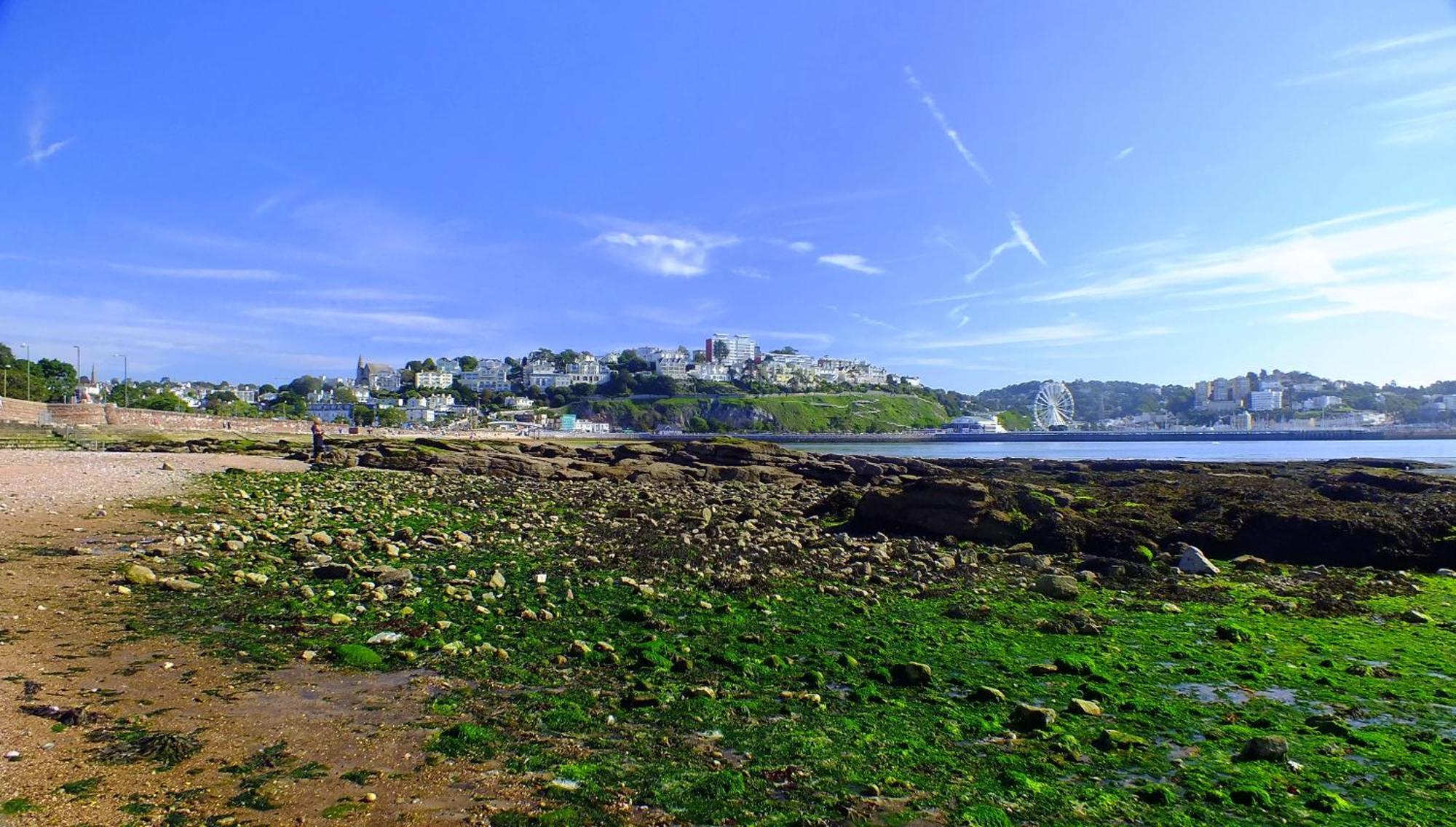 The Osborne Hotel Torquay Exterior photo
